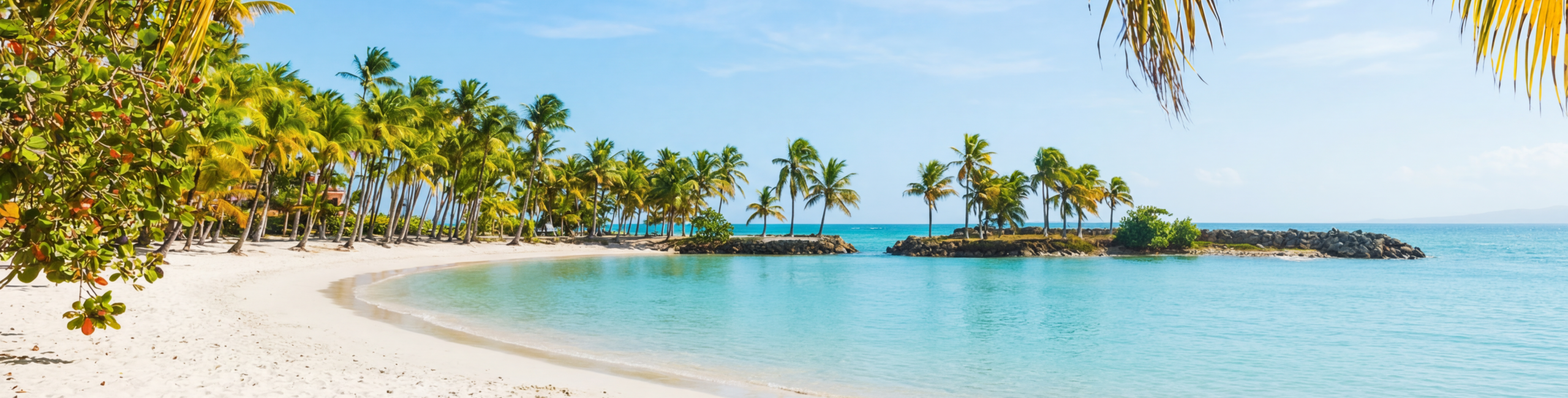 Plage des Caraïbes au sable blanc avec eau turquoise et palmiers | conciergerie en guadeloupe
